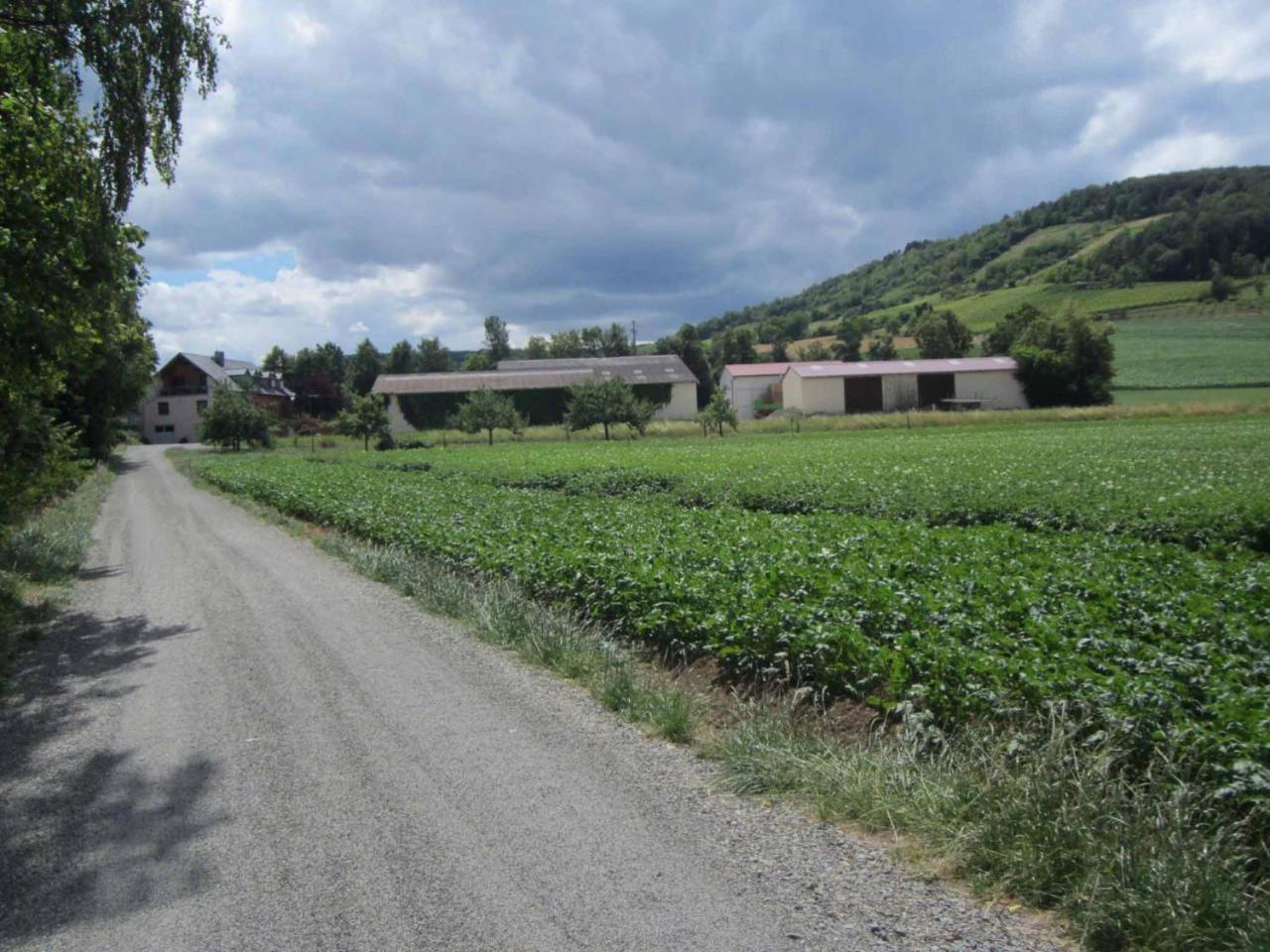 Ferienwohnungen Maintal Karlstadt Luaran gambar